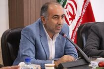 اقتصاد مقاومتی در راستای کاهش وابستگی ها است/اهداف دشمن لطمه زدن به تولیدات داخلی است