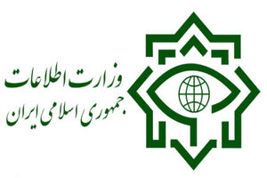 بازداشت یکی از مدیران کل گمرک توسط وزارت اطلاعات