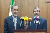 دولت ترامپ کوچک تر از آن است که برای ایران تعیین تکلیف کند