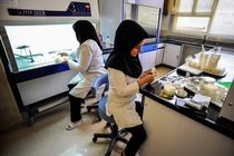 تک محصولی بودن از ضعف های اغلب شرکت های دانش بنیان است