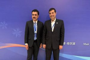 توسعه همکاری ورزشی تهران و اسلام آباد در دستور کار قرار گرفت