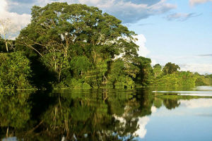 جاذبه های گردشگری هرمزگان در سطح وسیع معرفی شوند/لزوم ساماندهی و ایجاد امکانات تفریحی در سواحل