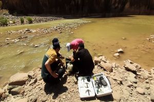 فاز آزمایشگاهی مطالعات جامع آبزی‌پروری  در اردبیل آغاز شد