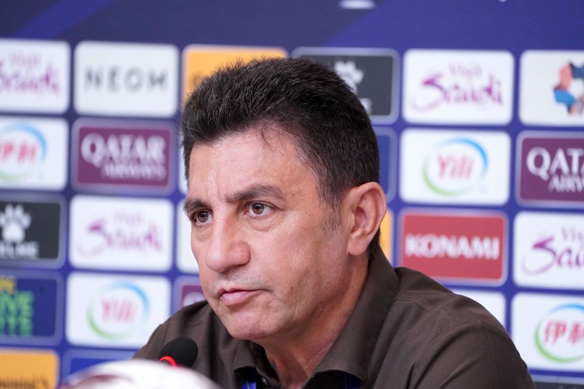 امیر قلعه نویی