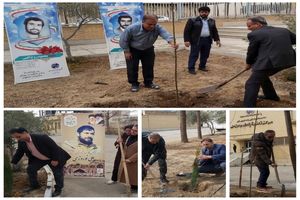 کاشت نهال در مخابرات خمینی شهر