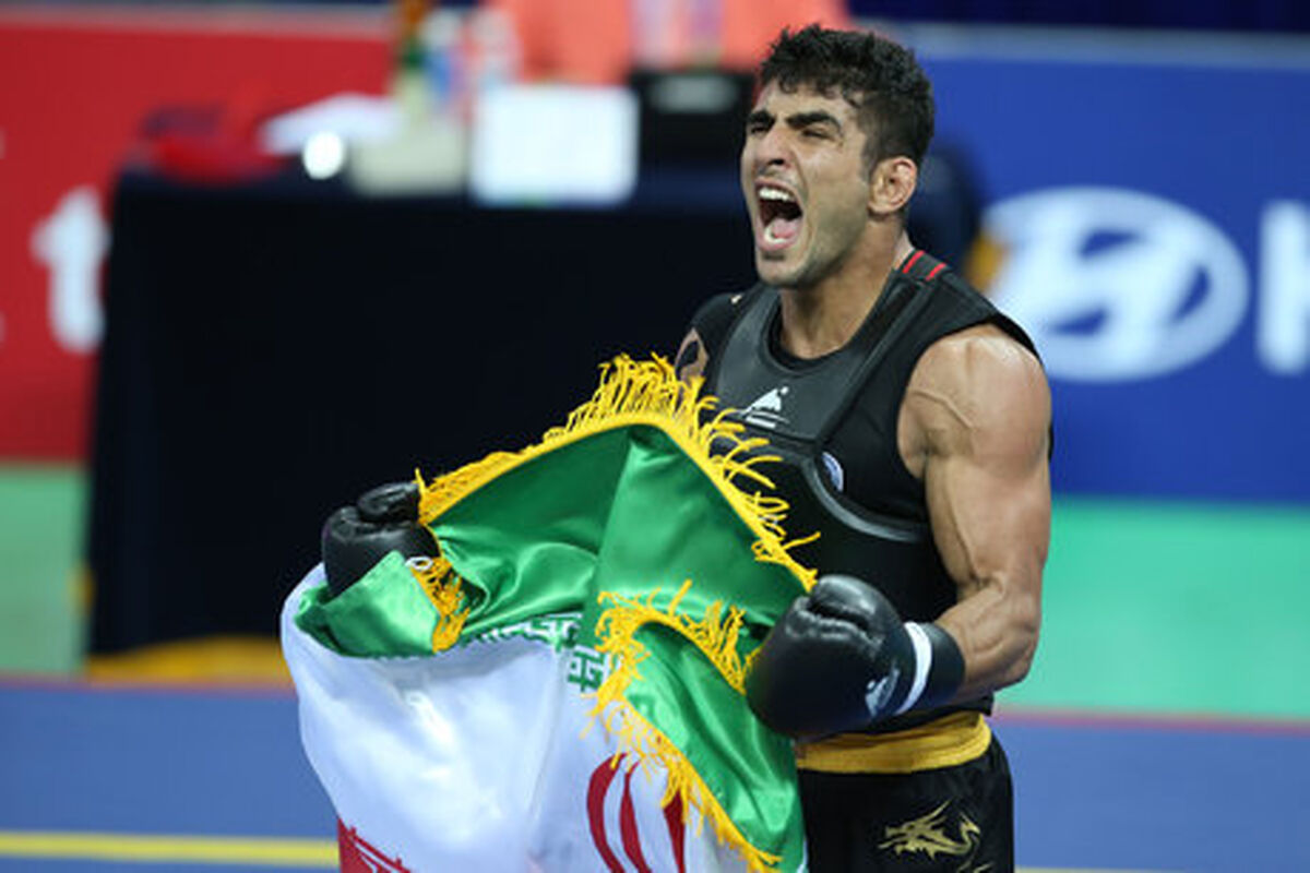 محمد سیفی