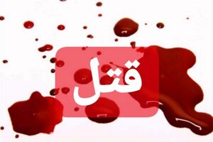 پایان خونین میانجیگری عمو در دعوای ۲ برادر