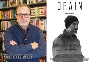 اکران فیلم سینمایی گندم از 23 شهریور