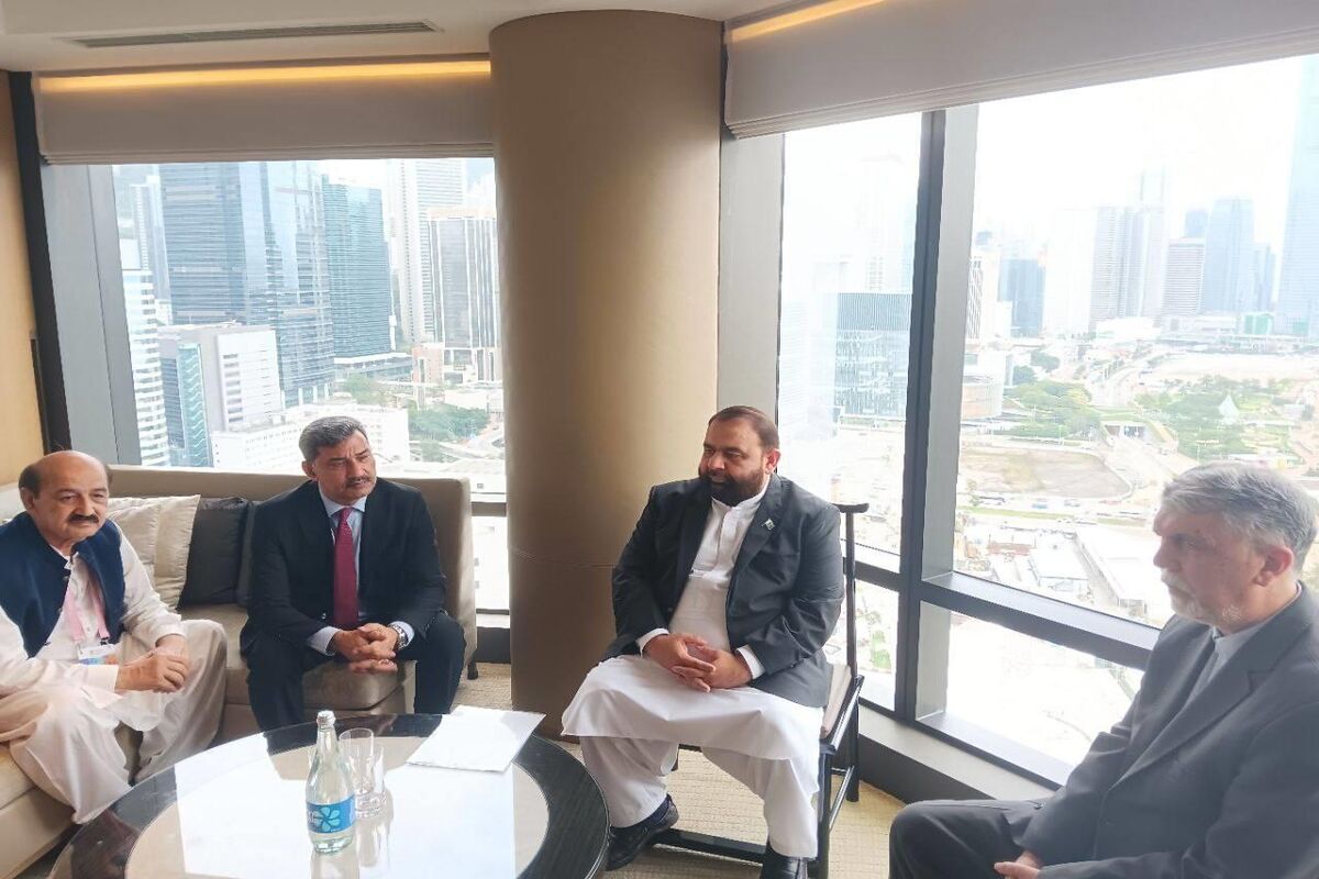 وزیر فرهنگ و ارشاد از اقدامات دولت پاکستان در حمایت و تقویت کرسی‌های زبان فارسی در دانشگاه‌ها تقدیر شد