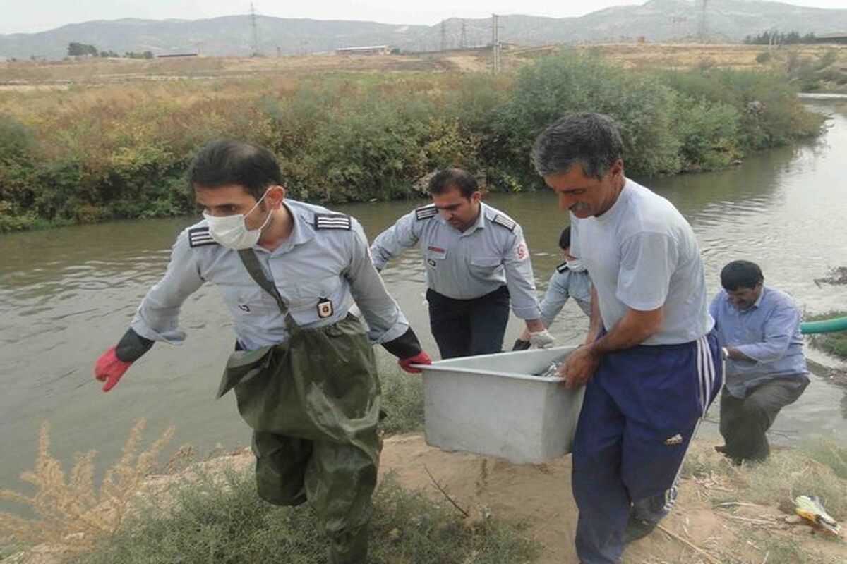 کشف جسد بانوی ۳۵ ساله