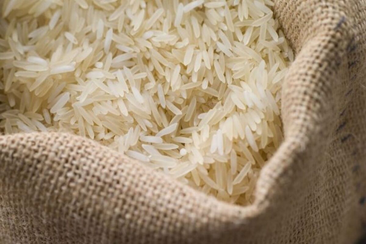 برنج هندی
