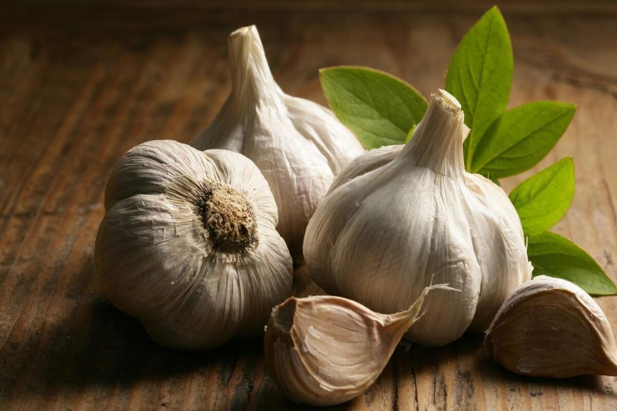 حبه سیر