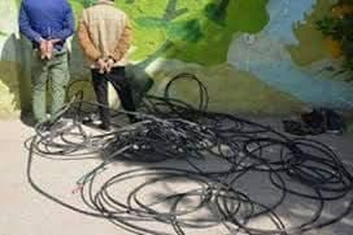 سارق سیم برق