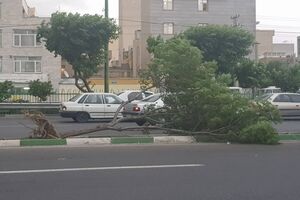 طوفان با سرعت به ۱۰۸ کیلومتر بر ساعت تهران را درنوردید