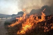 دود ناشی از آتش سوزی بخش عراقی هورالعظیم در خوزستان آلودگی ایجاد کرد 