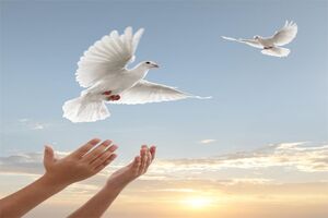  ۱۷ زندانی جرایم غیرعمد در استان اصفهان آزاد شدند