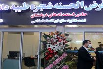 پرداختی های صندوق قرض الحسنه شجره طیبه دانش برای یاری خواهان این خیریه است