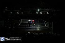 سرمربی تیم ملی بوکس انتخاب شد