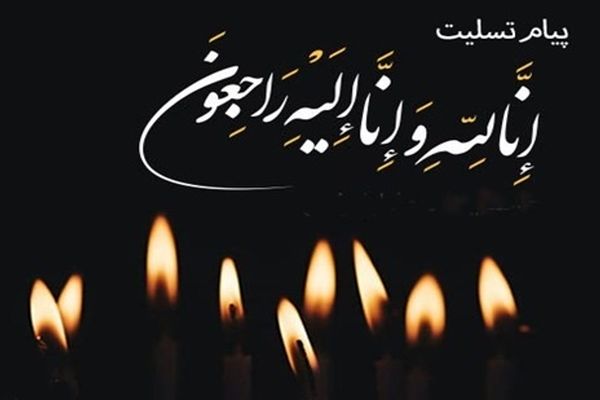 معان وزیر فرهنگ درگذشت حمیدرضا درجاتی را تسلیت گفت