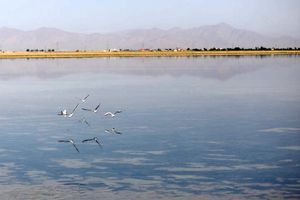 افزایش ۶ سانتی متری تراز تالاب قوری گل با انتقال ۷۰۰ هزار مترمکعب آب