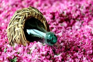 ارزآوری صادرات گلاب و عرقیات میمند از مرز ۲ میلیون دلار گذشت