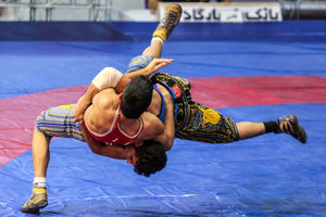 به دنبال برگزاری مشترک ورزشهای زورخانه‌ای با کشتی پهلوانی هستیم