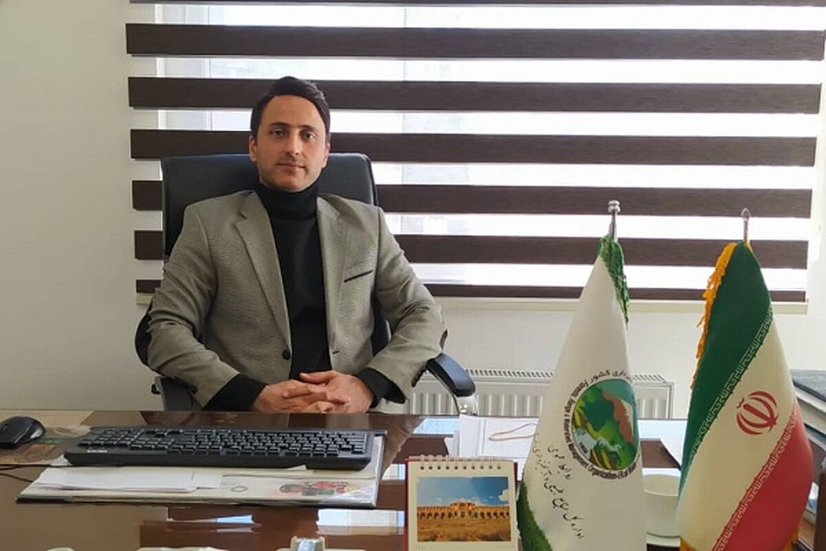 سید امین مشعریان