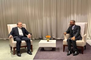 ایران دیپلماسی نتیجه‌محور را با جدیت دنبال می‌کند