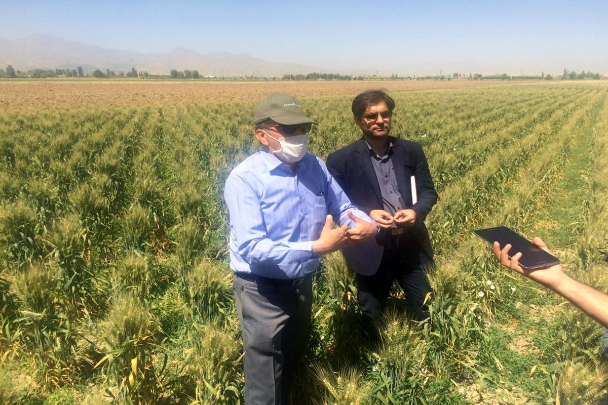 2مرکز تحقیقات جهاد