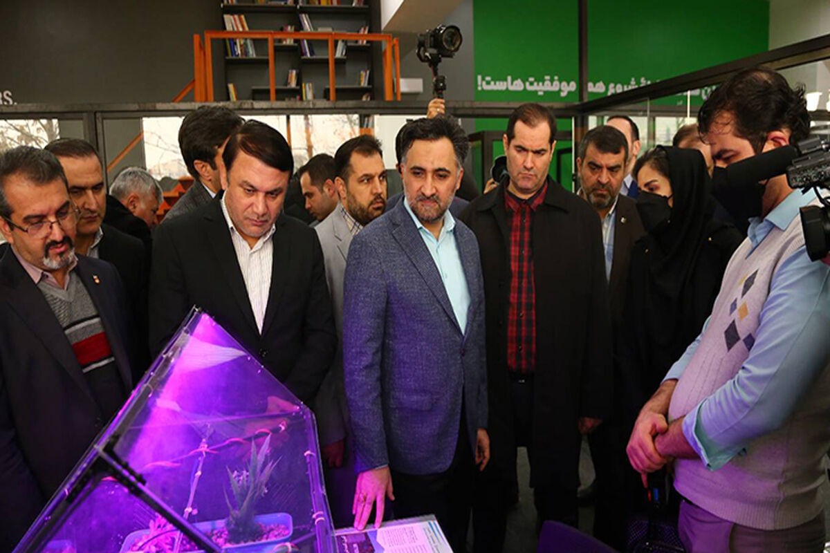 معاون علمی رئیس جمهور