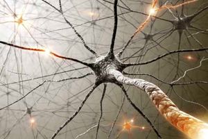 راه‌اندازی رشته علوم اعصاب در دانشگاه علوم پزشکی مشهد / پذیرش دانشجو از مهر