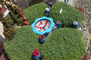 برگزاری مسابقه هفت سین و سبزه برتر به صورت مجازی در خمینی شهر