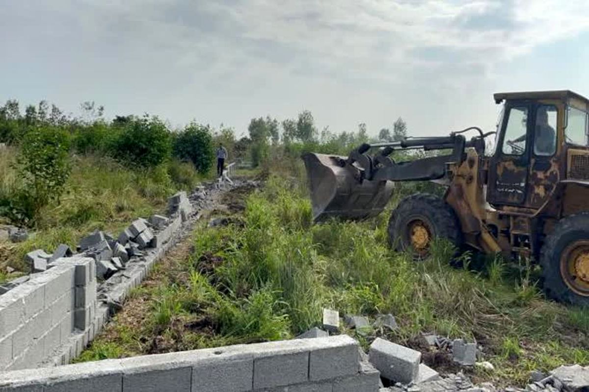 رضا نجفی مدیر جهاد کشاورزی شهرستان تنکابن