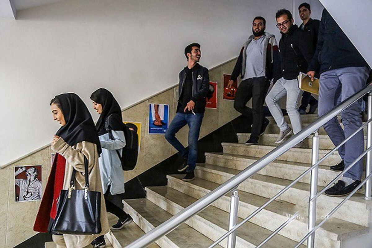 دانشجو دانشگاه