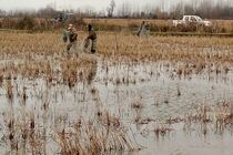 جمع آوری 1200 متر تور هوایی در لاهیجان