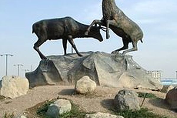 شفاف سازی سازمان حفاظت محیط‌زیست درباره بروز بیماری پن لوکوپنی در مرکز بازپروری حیات‌وحش پردیسان