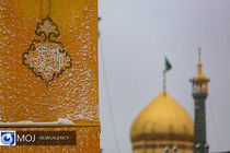 ویژه برنامه‌های حرم حضرت معصومه (س) در اعیاد شعبانیه اعلام شد 