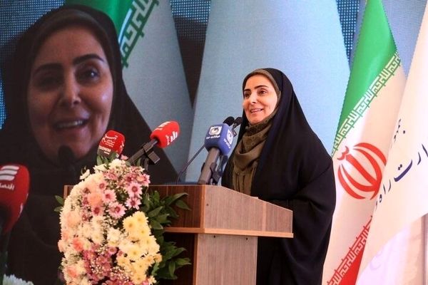 بخش خصوصی در بزنگاه‌های دشوار چند گام جلوتر از دولت حرکت کرده است