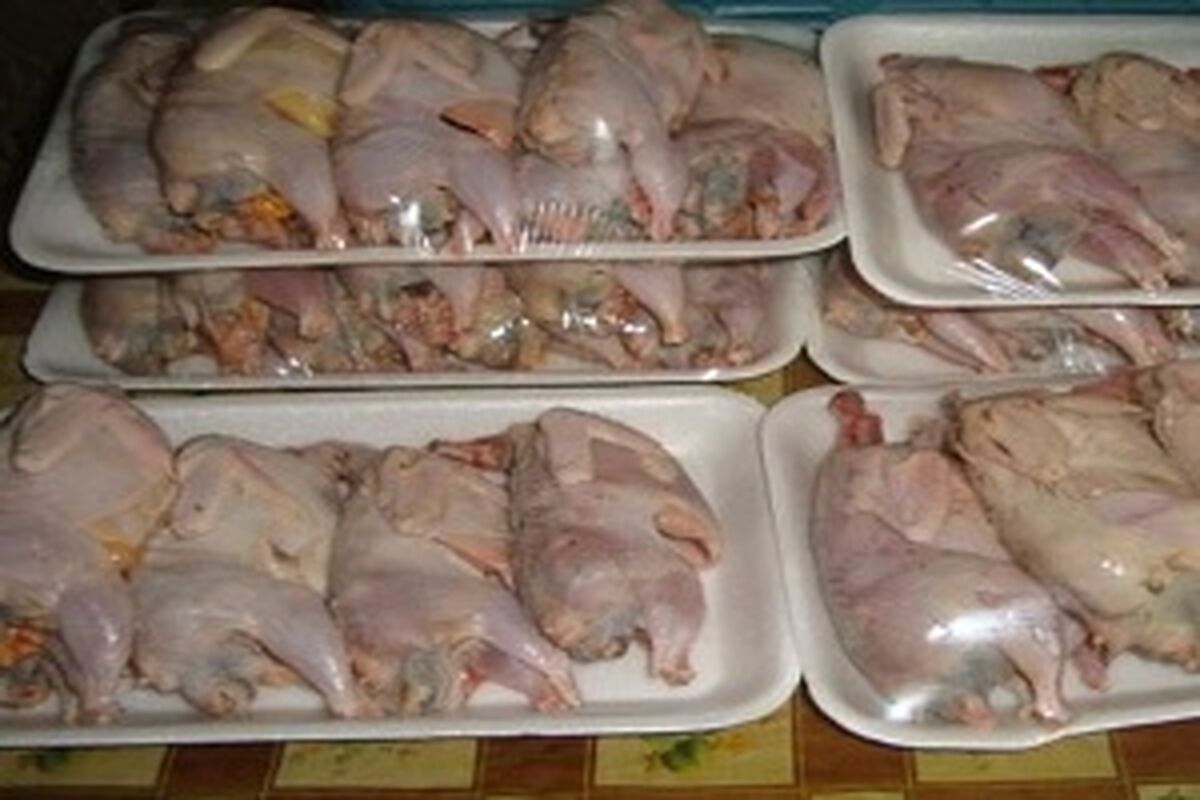گوشت بلدرچین غیر بهداشتی