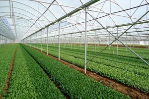 شهرک‌های کشاورزی استان اردبیل توسعه می‌یابد