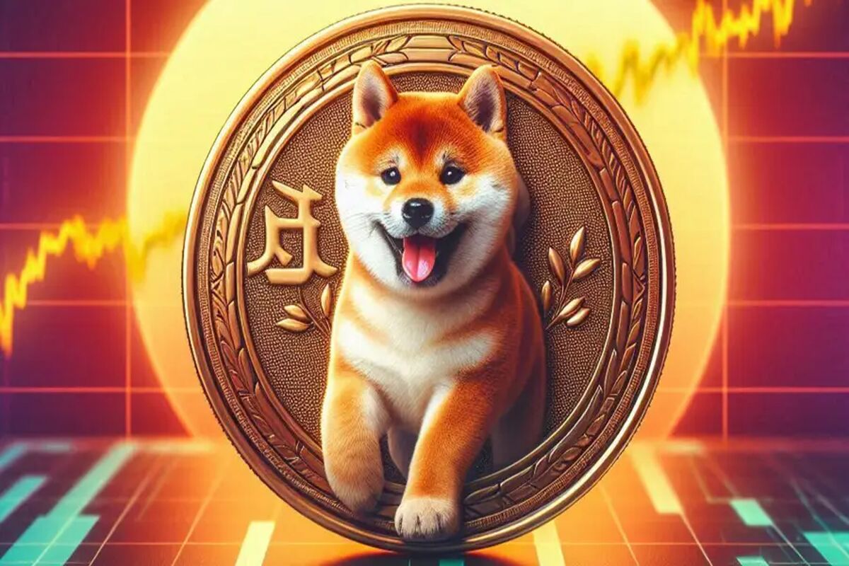 قیمت شیبا