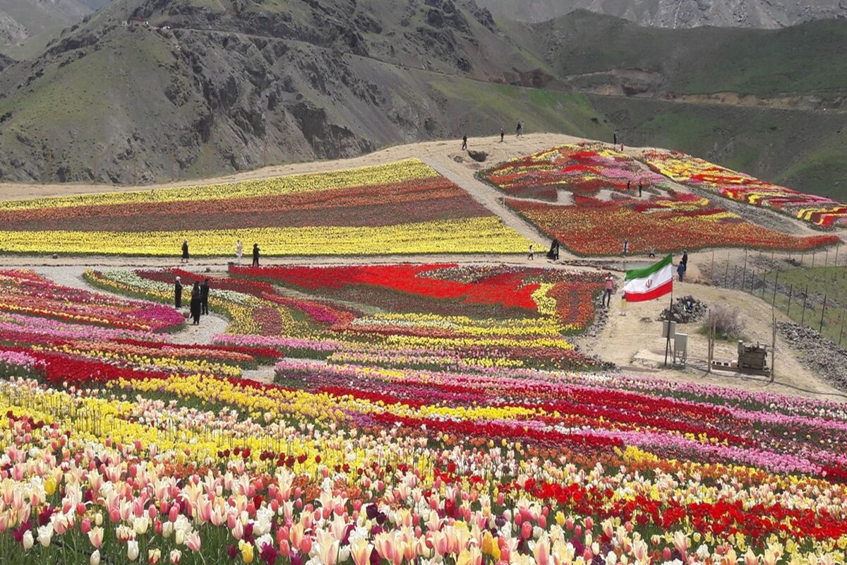 کندر