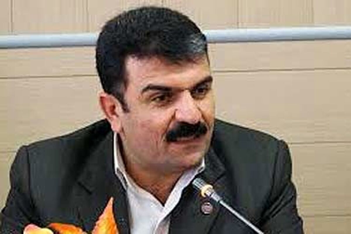 سیدجمیل احمدی