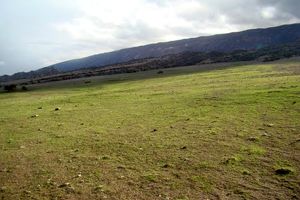 تخصیص اعتبار برای احیای مراتع هرمزگان 