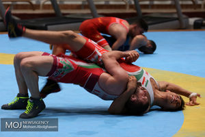 اردوی تیم ملی کشتی فرنگی بزرگسالان آغاز شد