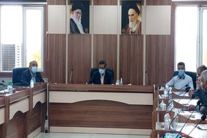 کشت 30هزار اصله نهال در هرمزگان