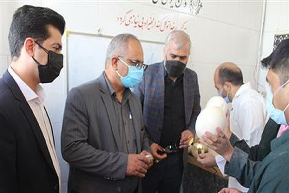 زندان