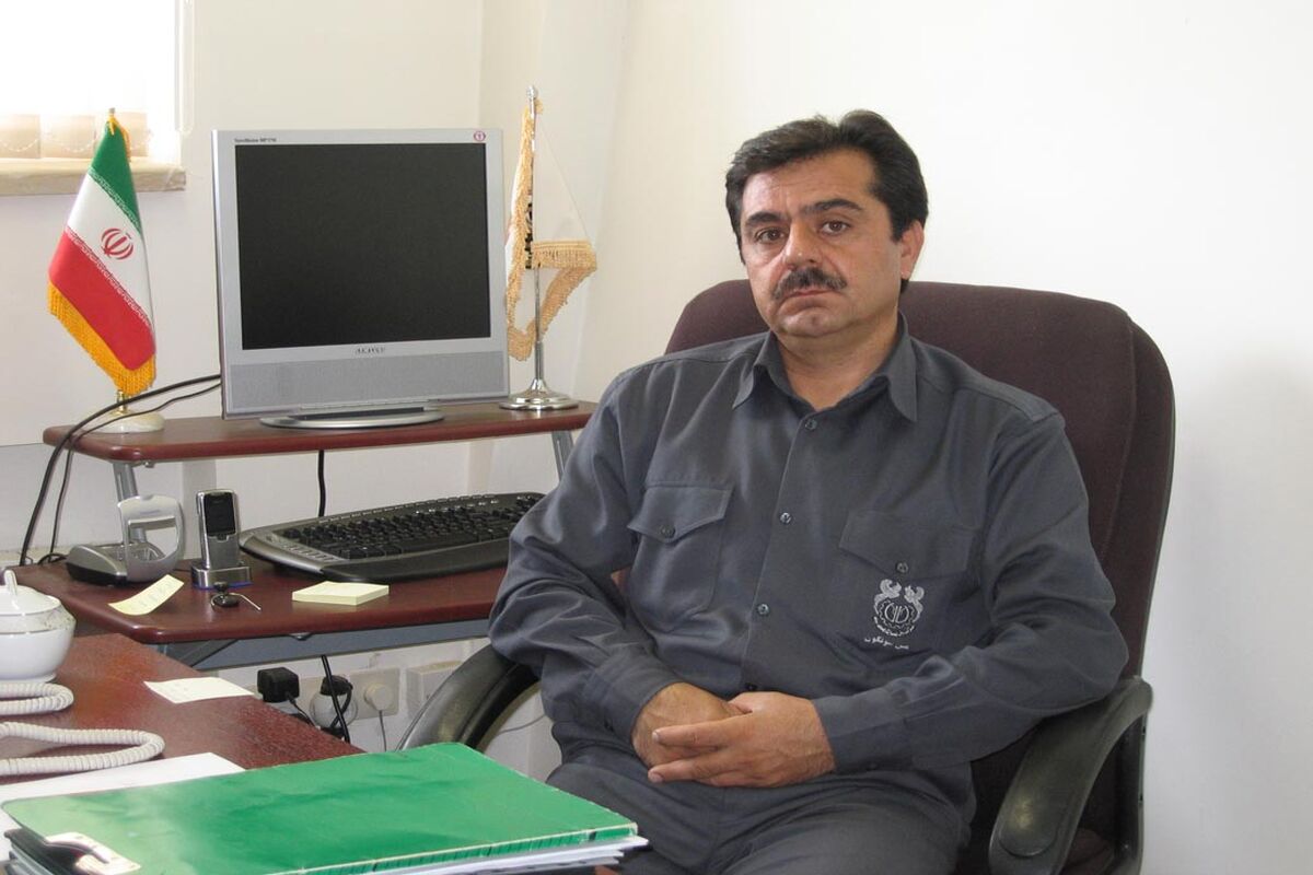 شریفی