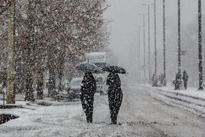 بارش برف تا عصر فردا در اردبیل تداوم می یابد