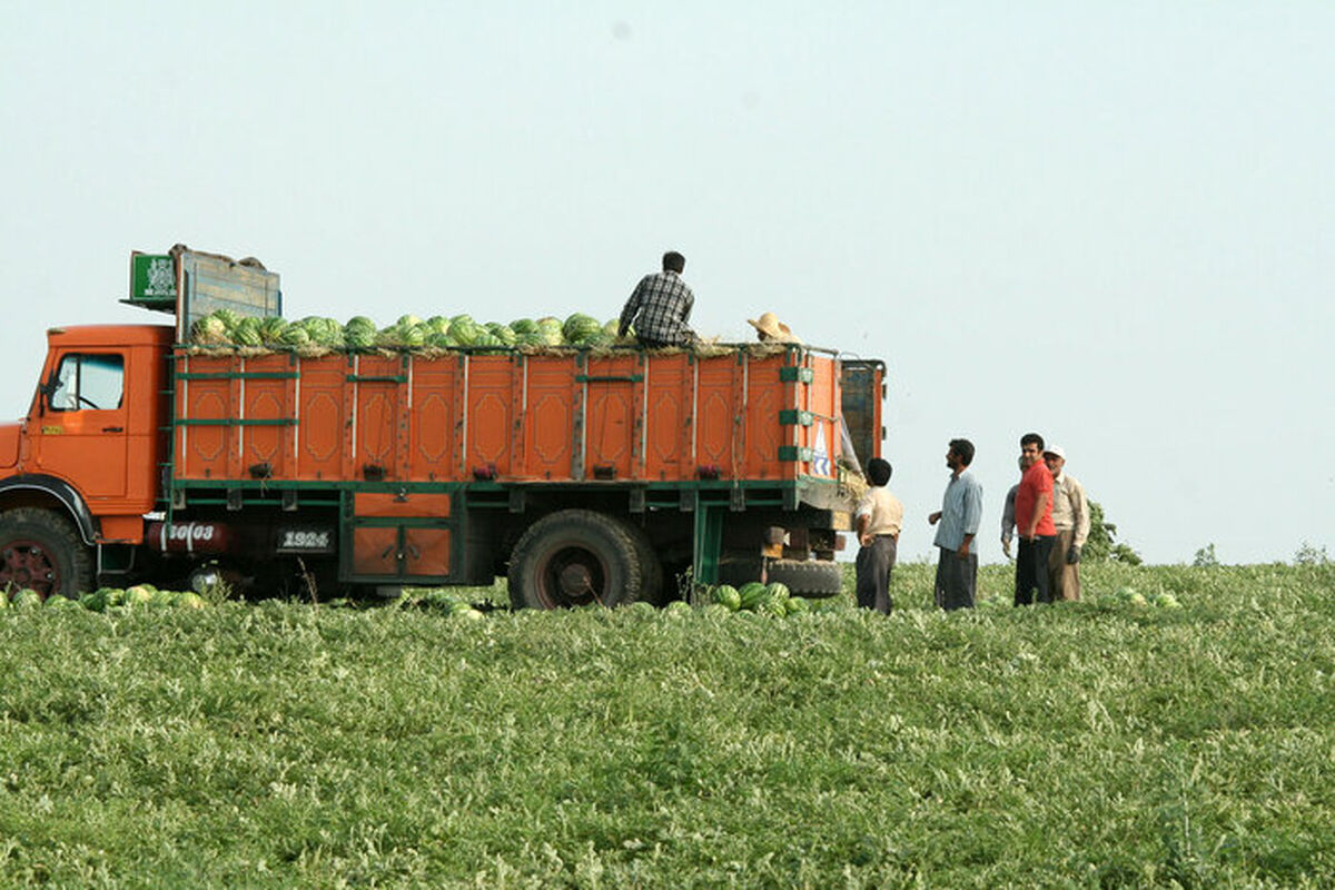 هندوانه